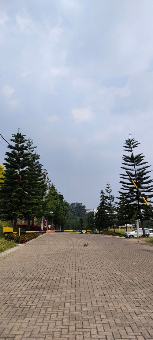 foto gerbang perumahan PT Graha Pinus Asri