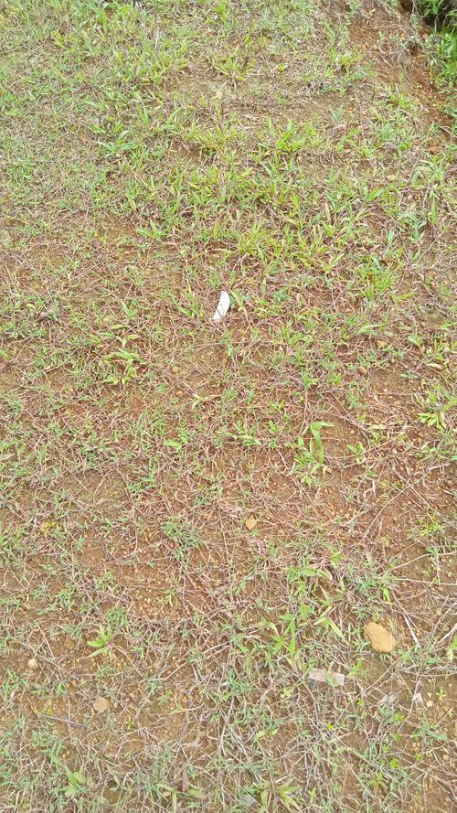 foto posisi tengah perumahan RUMAH YASA SUKARENDE