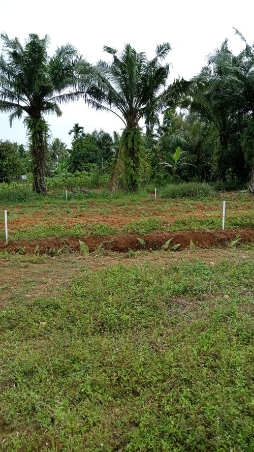 foto contoh rumah perumahan RUMAH YASA SUKARENDE