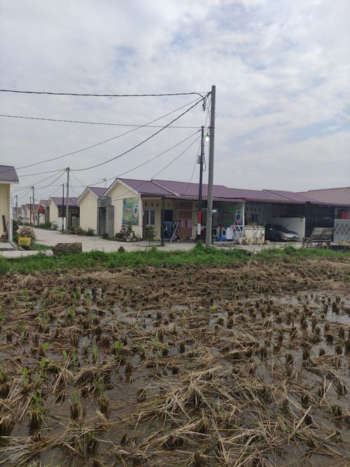 foto contoh rumah perumahan Perumaha Griya Widuri