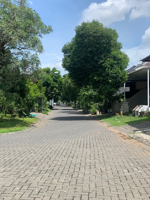 foto posisi tengah perumahan PALMA CLASSICA CITRALAND