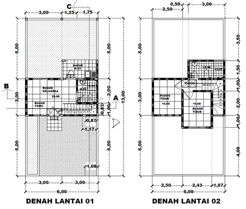 foto denah rumah tipe 49 perumahan Newtown Park