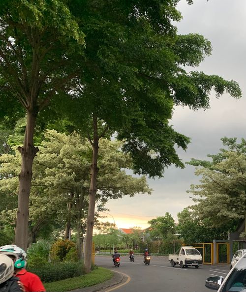 foto gerbang perumahan RUKO BUKIT PALMA CITRALAND