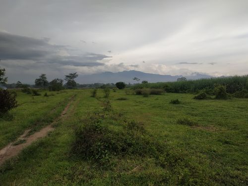 foto contoh rumah perumahan Griya Lestari