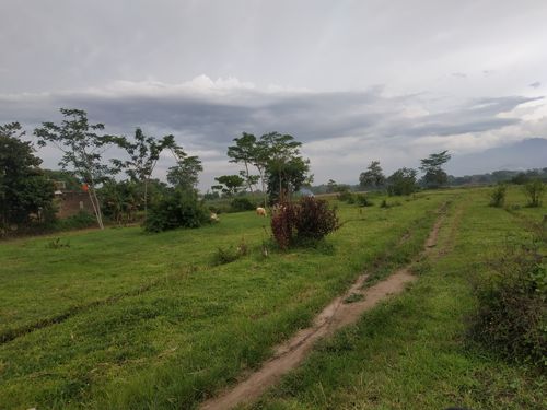 foto gerbang perumahan Griya Lestari