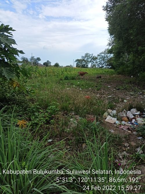 foto contoh rumah perumahan SOKKO BAMPA PERMAI 4