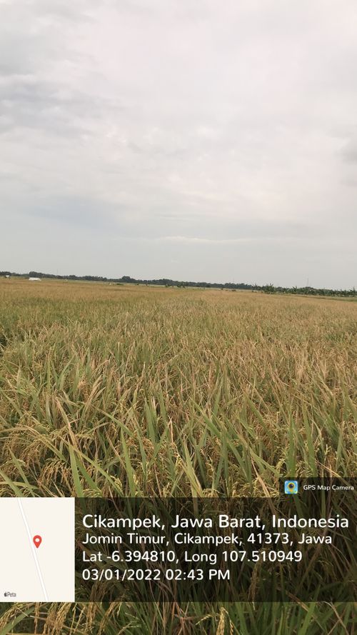 foto posisi tengah perumahan AMBAR KOTABARU REGENCY