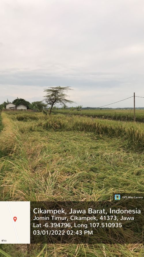 foto contoh rumah perumahan AMBAR KOTABARU REGENCY
