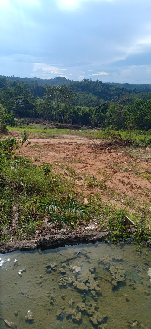 foto posisi tengah perumahan PERUMAHAN BUKIT RAYA LESTARI
