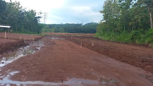 foto posisi tengah perumahan PURI HARMONI PRINGAPUS