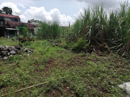 foto posisi tengah perumahan PERUMAHAN MUTIARA GARDEN 1