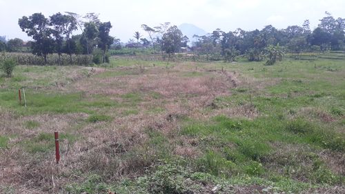 foto posisi tengah perumahan Bumi Citra Regency