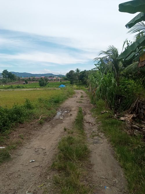 foto gerbang perumahan Bukit Madani Indah