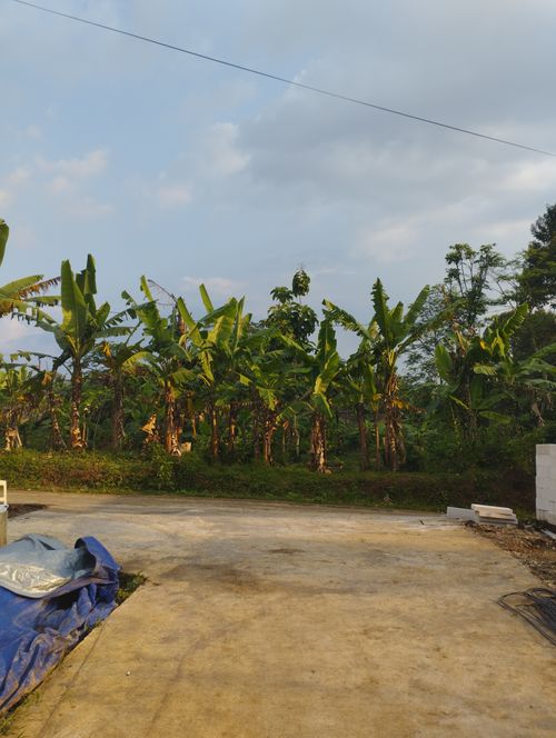 foto posisi tengah perumahan PERSADA VILLAGE
