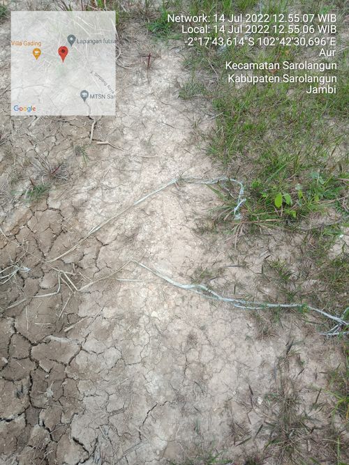 foto posisi tengah perumahan GREEN TULIP 2