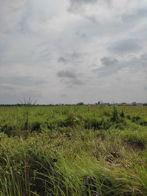 foto posisi tengah perumahan GRIYA PABUARAN