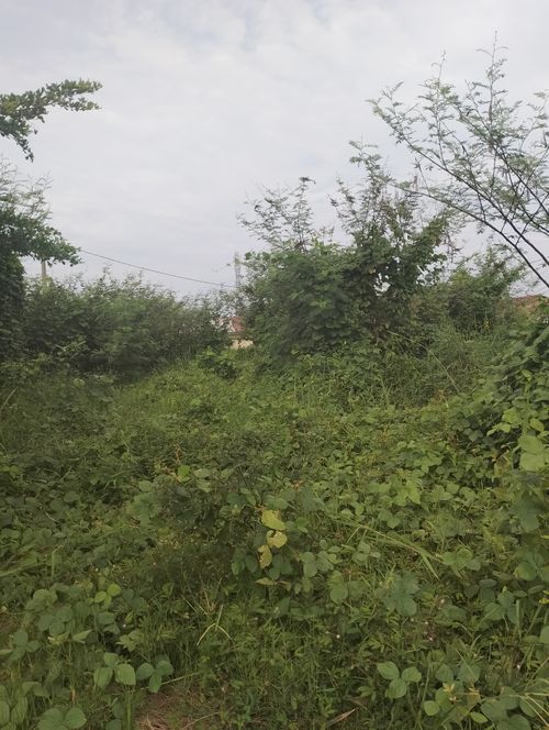 foto posisi tengah perumahan MULIA NAVARA RESIDENCE