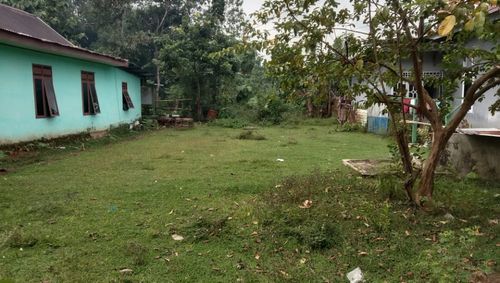 foto gerbang perumahan RACHITA GARDEN 4