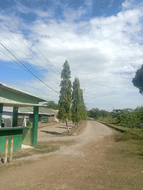 foto gerbang perumahan PESONA AMALIA REGENCY