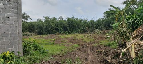 foto posisi tengah perumahan TAMAN MUTIARA TALUN