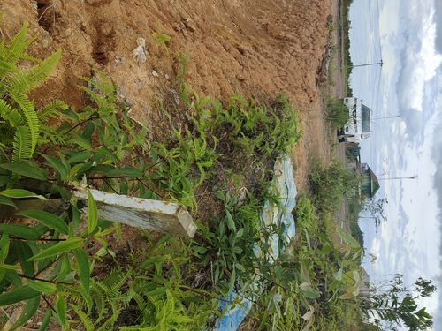 foto contoh rumah perumahan Sumanis Idaman