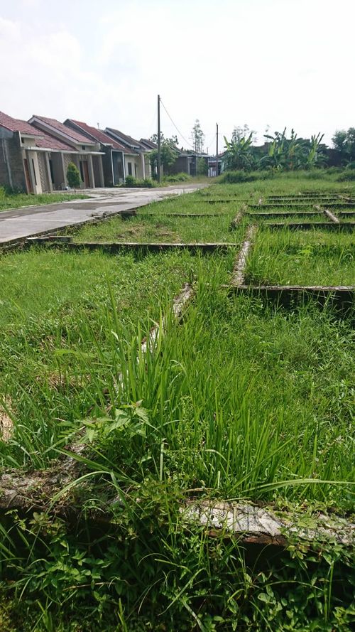 foto posisi tengah perumahan Perumahan Griya Sidoharjo Asri