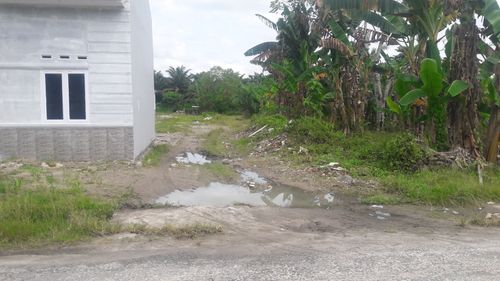foto gerbang perumahan AULIYA PERMAI 8