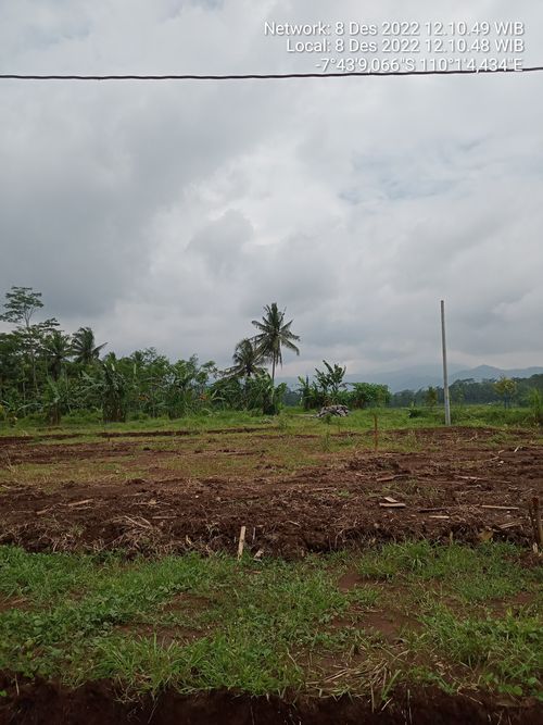 foto contoh rumah perumahan PERUMAHAN MUTIARA GARDEN 2