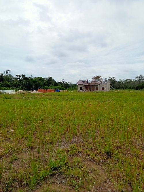 foto posisi tengah perumahan Taman Cendana