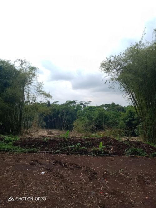 foto posisi tengah perumahan Queensland Residence