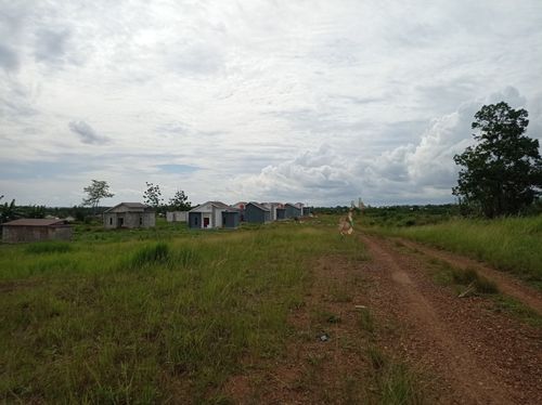 foto gerbang perumahan Royal Akasia