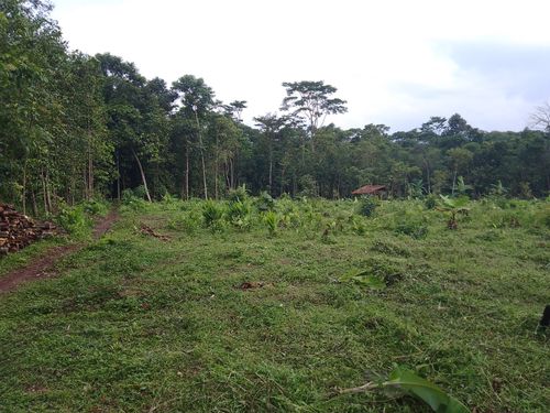foto contoh rumah perumahan PURI RAJADANU PERMAI
