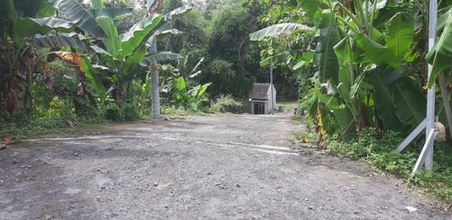 foto gerbang perumahan CLUSTER TRIWIDADI