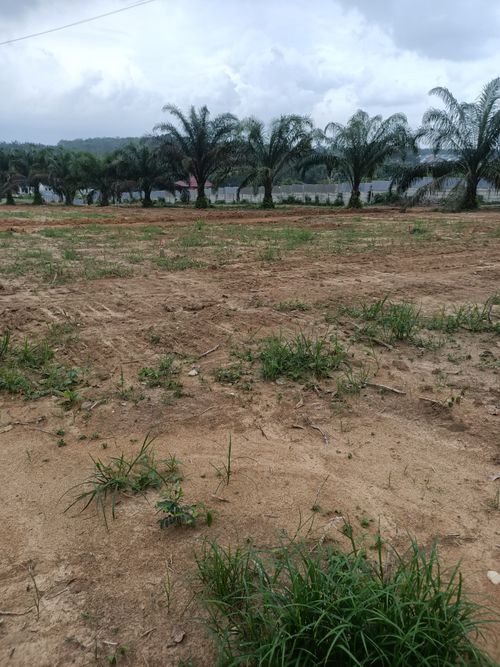 foto posisi tengah perumahan PERUMAHAN GRAHA HALIM 1