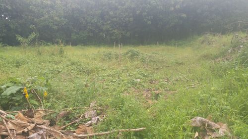 foto gerbang perumahan Perumahan Al Ikhlas Permai