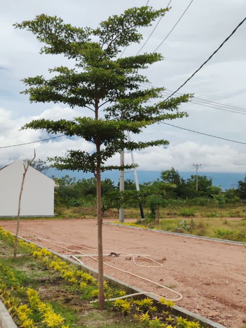foto gerbang perumahan GRAHA KHAYANGAN HILLS