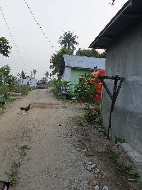 foto gerbang perumahan CITRA MUTIARA PALA