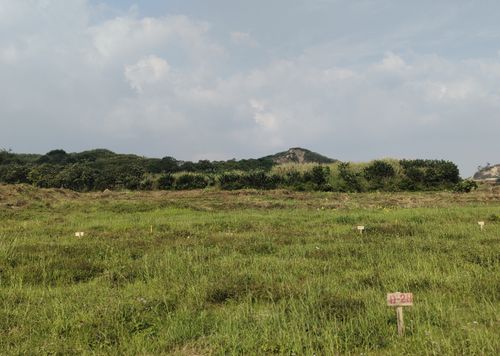 foto posisi tengah perumahan KOPKAR REGENCY
