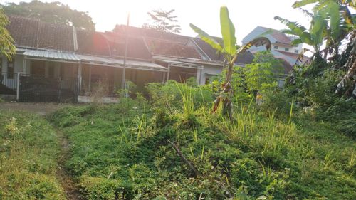 foto posisi tengah perumahan GRAHA PESONA MALANGBONG TAHAP III