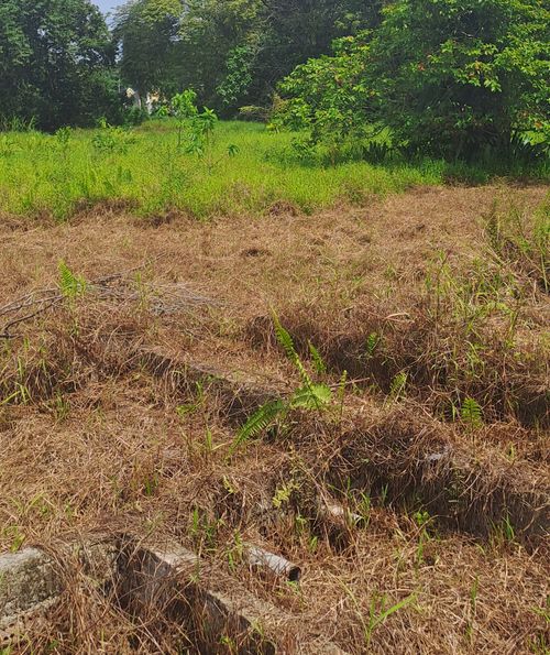 foto posisi tengah perumahan Perumahan Bukit Baru