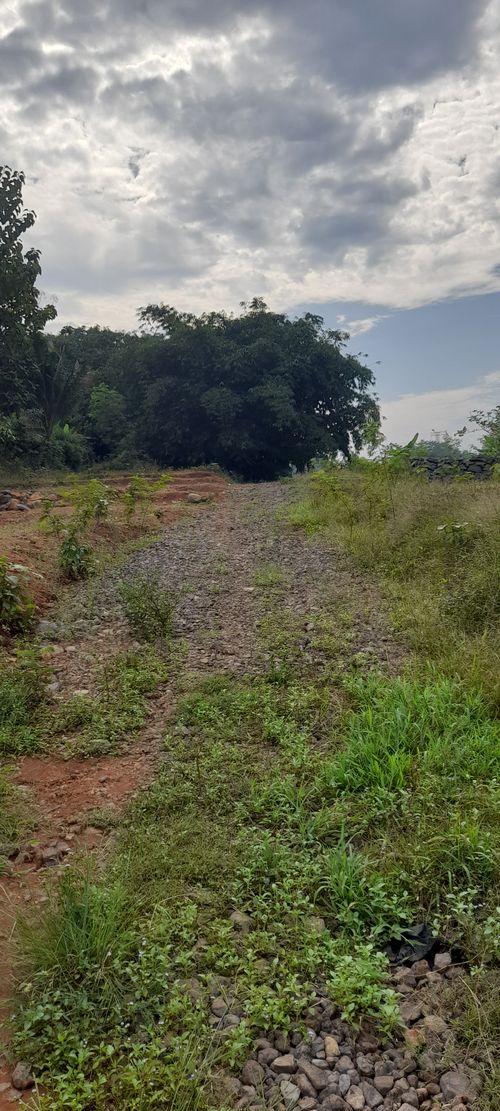 foto posisi tengah perumahan PESONA SINDANGSARI