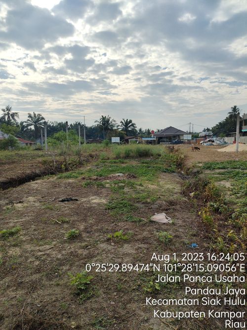 foto gerbang perumahan Pandau Barat Residence