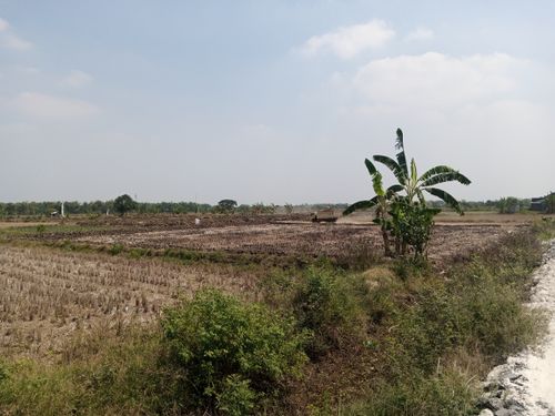 foto contoh rumah perumahan GRIYA CEMPAKA PUTIH