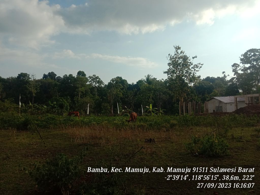 foto posisi tengah perumahan SIMPONI RESIDENCE II