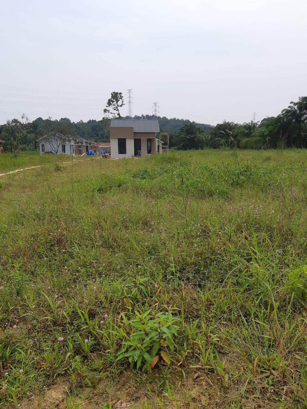 foto posisi tengah perumahan Teduh Asri Residence