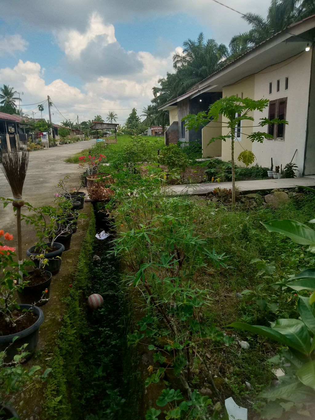 foto posisi tengah perumahan RUMAH SEJAHTERA KINIBALU.