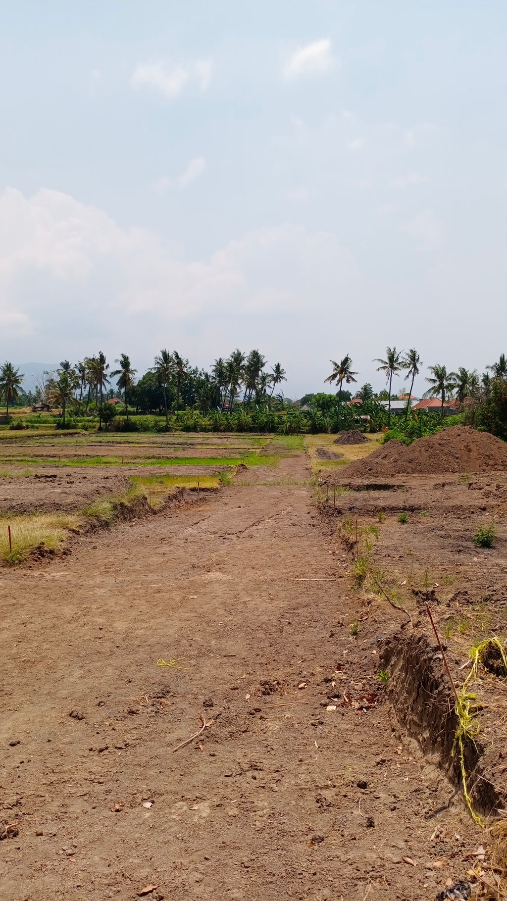 foto posisi tengah perumahan KRISNA GRAHA PANJI