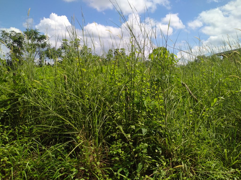 foto gerbang perumahan ThreeNKa Residence 5