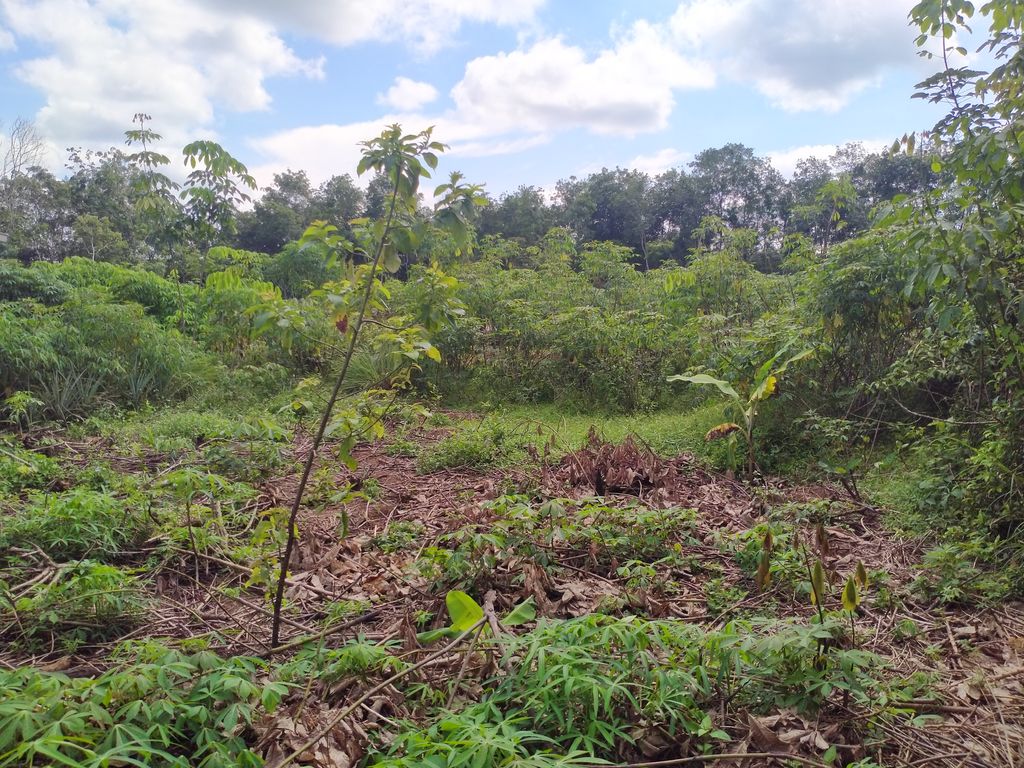 foto posisi tengah perumahan ThreeNKa Residence 5