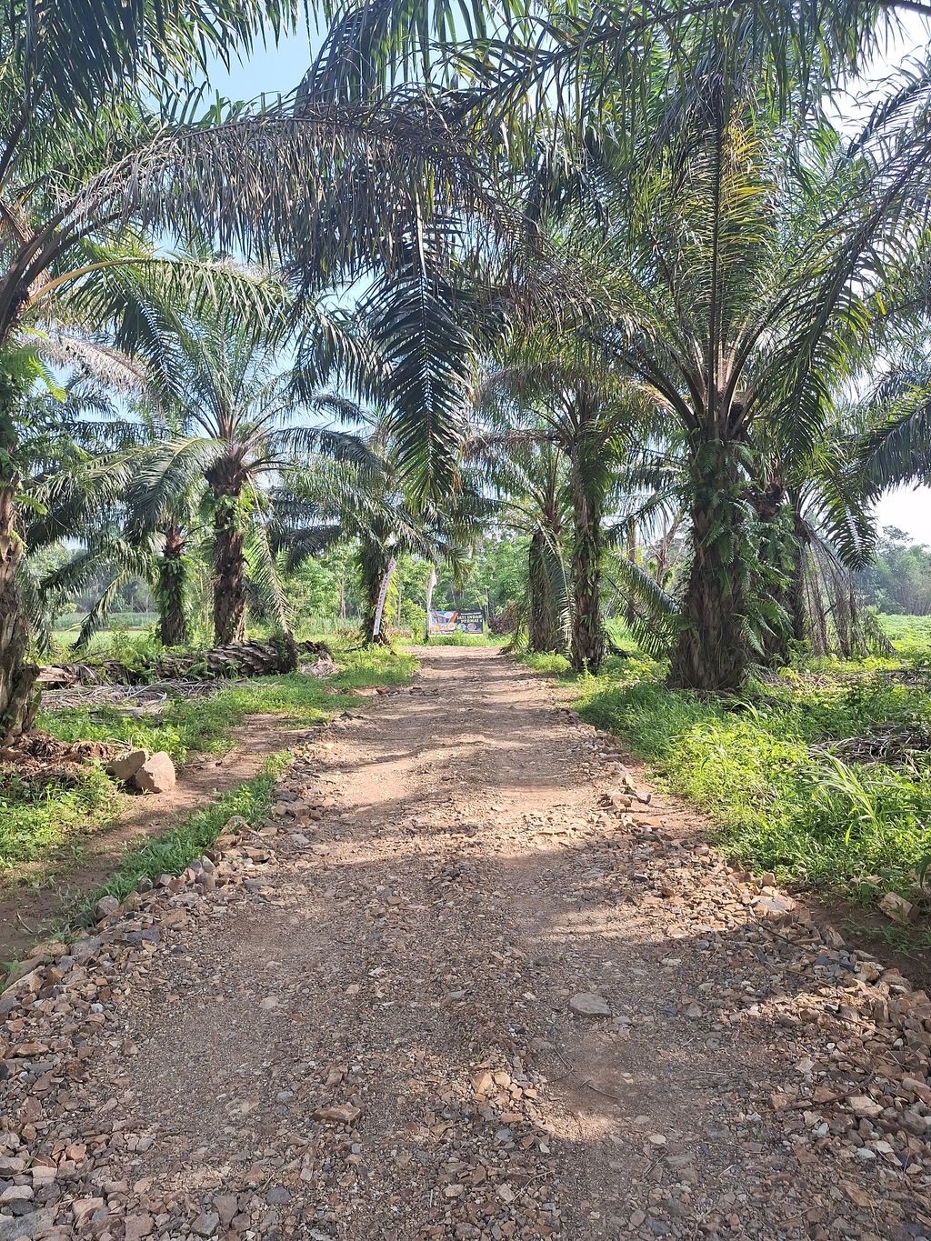 foto gerbang perumahan PERUMAHAN JATI INDAH PERMAI 4